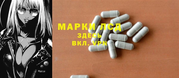 стаф Богородицк
