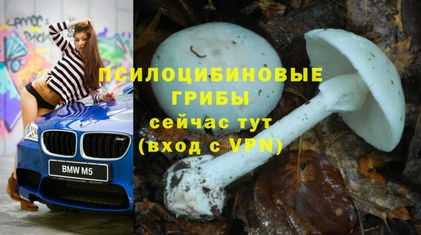 spice Богданович