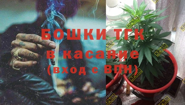 spice Богданович