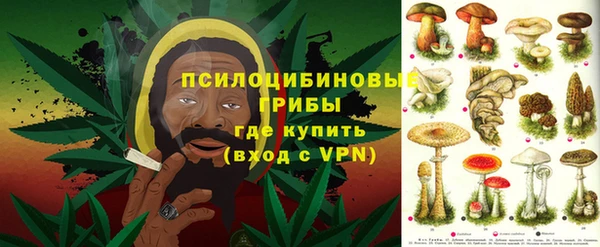 стаф Богородицк