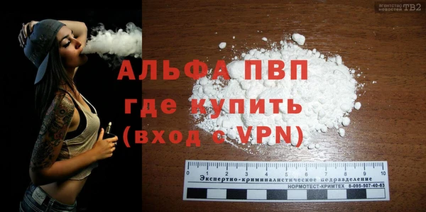 spice Богданович