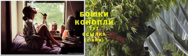 стаф Богородицк